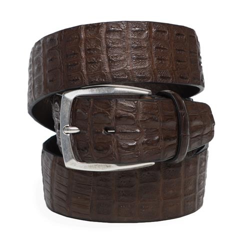 belt crocodile
